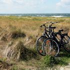 Auf den Dünen von Hiddensee