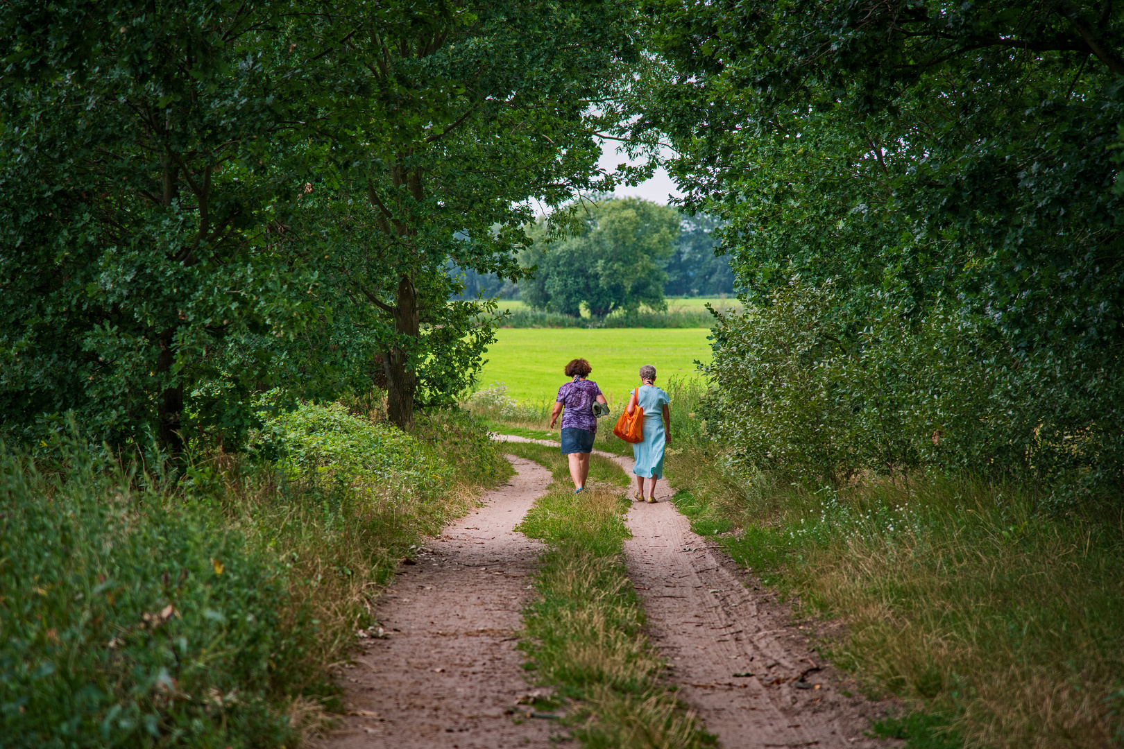 Auf den Feldweg