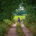 Auf den Feldweg