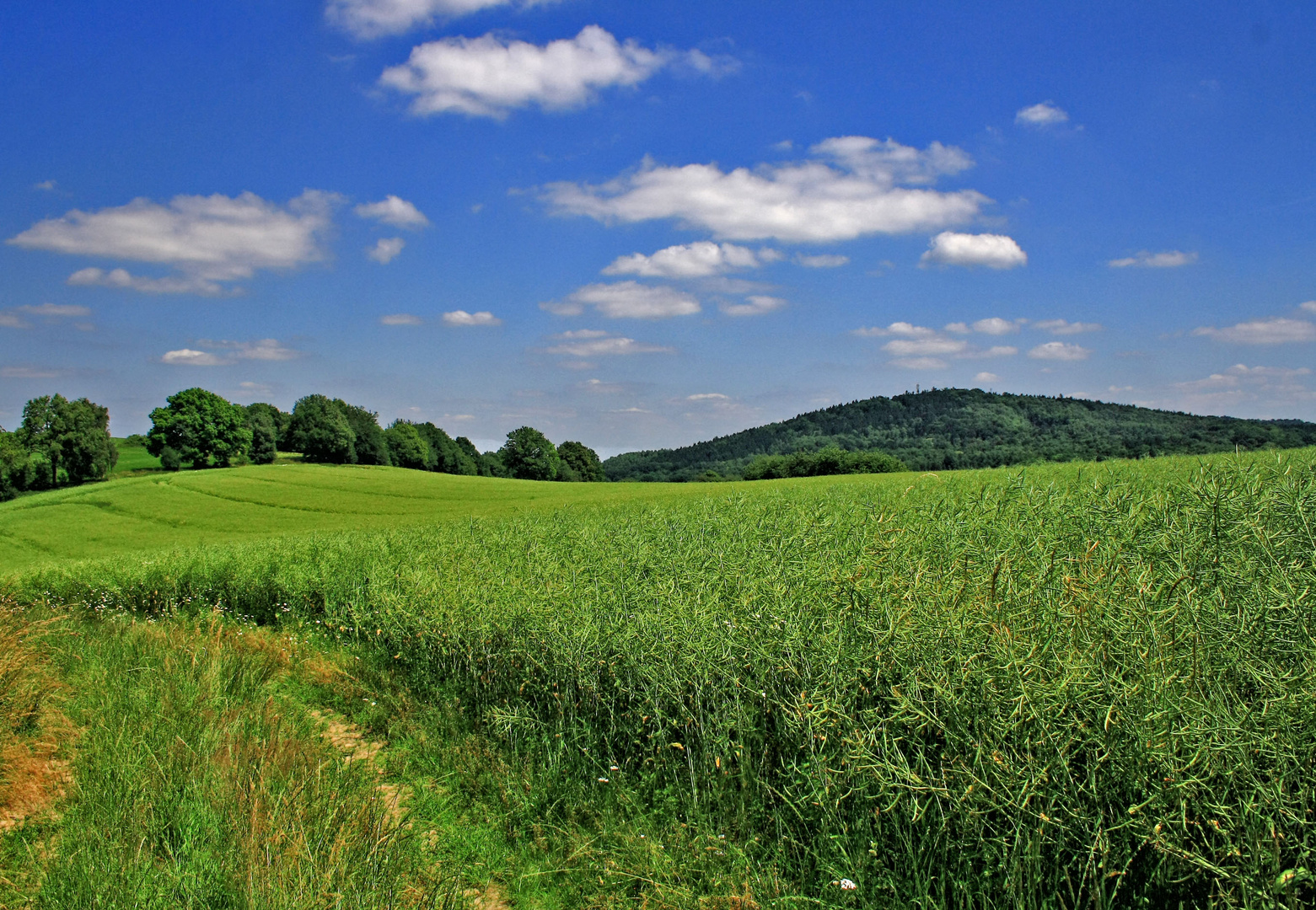 auf den feldweg