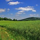 auf den feldweg