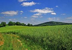 auf den feldweg