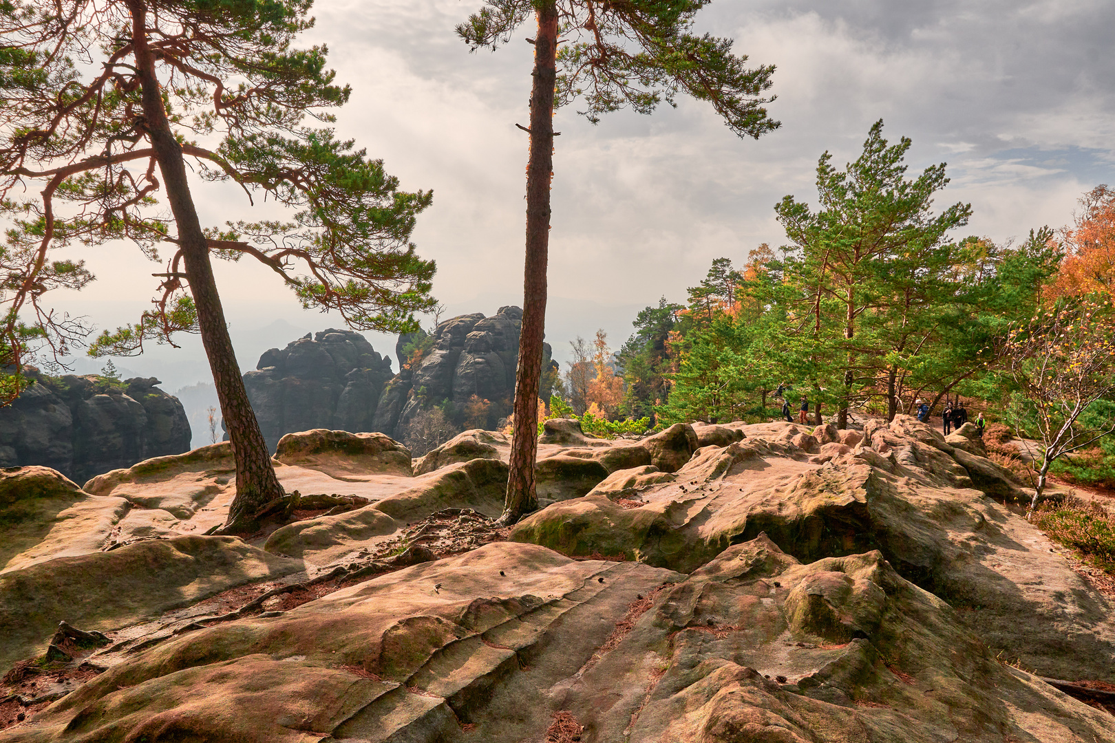 Auf den Felsen des Elbsandsteingebirges