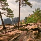 Auf den Felsen des Elbsandsteingebirges