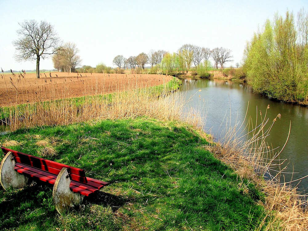 Auf den Frühling warten