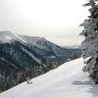 auf den Gleinalmspeikkogel 1