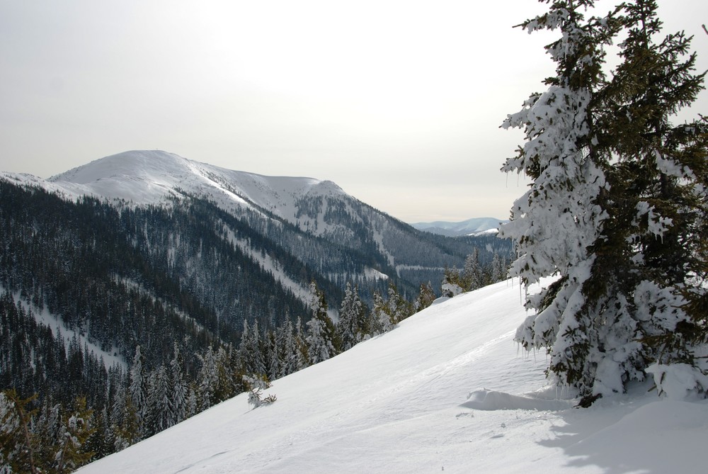 auf den Gleinalmspeikkogel 1