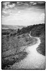 Auf den Hörselbergen bei Eisenach