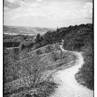 Auf den Hörselbergen bei Eisenach