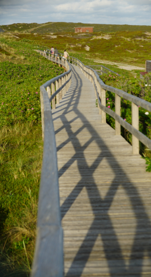 Auf den Holz Weg 