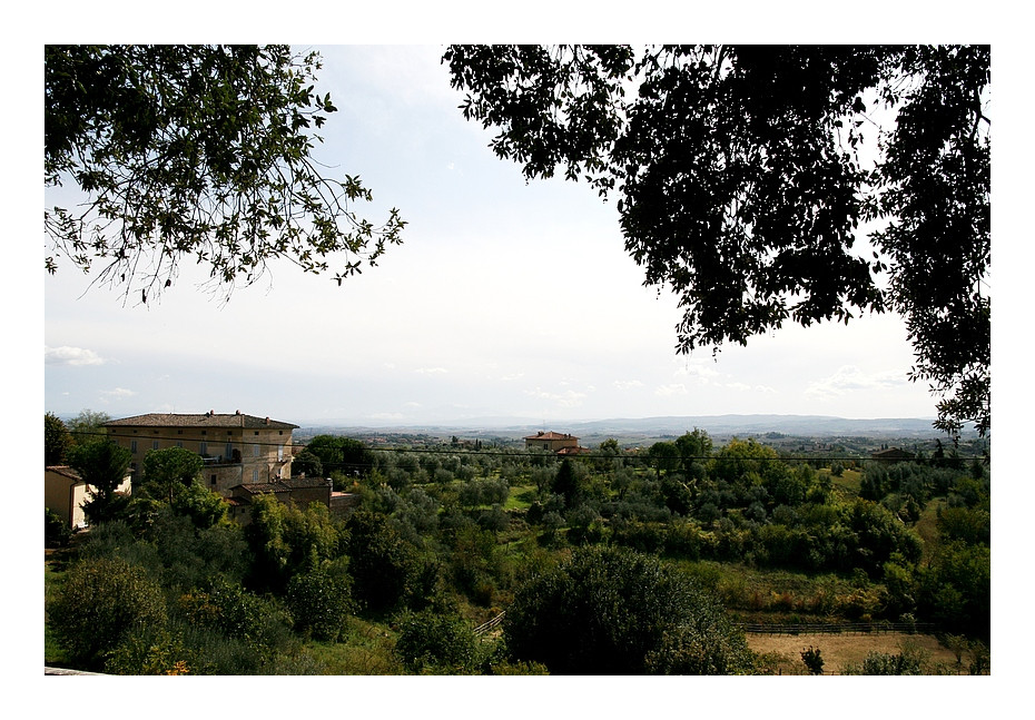 Auf den Hügeln der Toscana