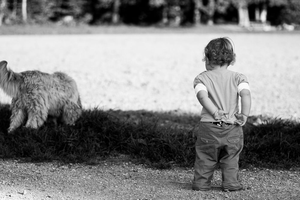 Auf den Hund gekommen.... von MarioCarol Fotografie 