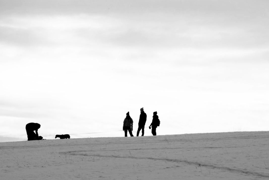 " Auf den Hund gekommen"...