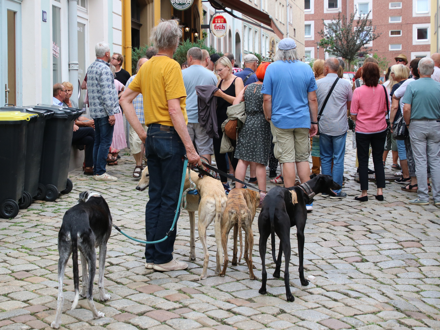 Auf den Hund gekommen