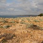 Auf den Klippen von Bordeira, Portugal