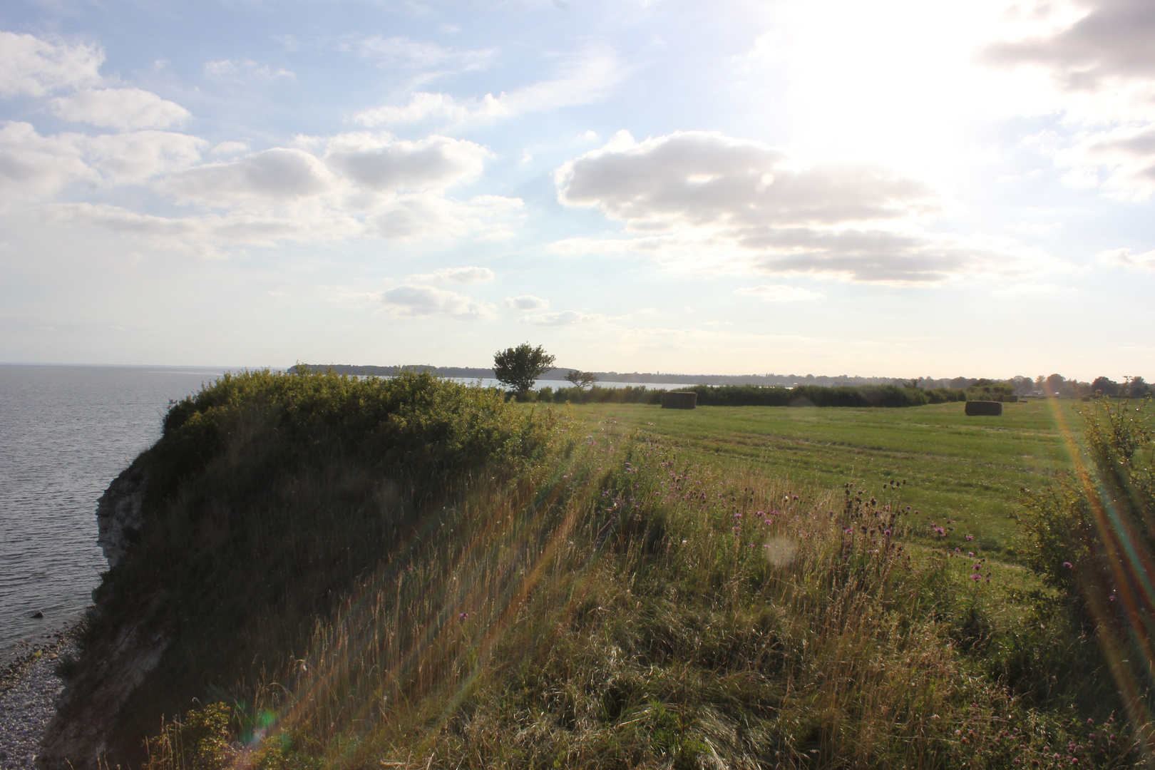 auf den Kreidefelsen von Rødvig