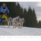 Auf den letzten Metern