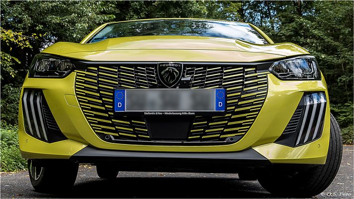 Auf den Löwen geschaut ...