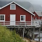 auf den Lofoten