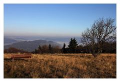 Auf den Matten der Hochrhön