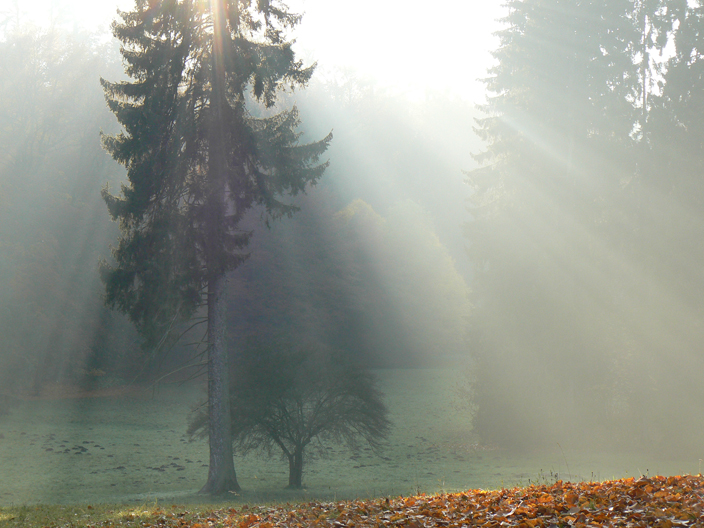 auf den Nebel folgte die Sonne