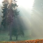 auf den Nebel folgte die Sonne