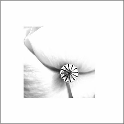 Auf den Punkt gebracht