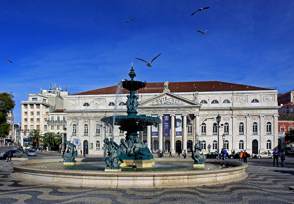 auf den rossio platz hab eich auch meine freunde die möwen getroffen