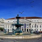 auf den rossio platz hab eich auch meine freunde die möwen getroffen