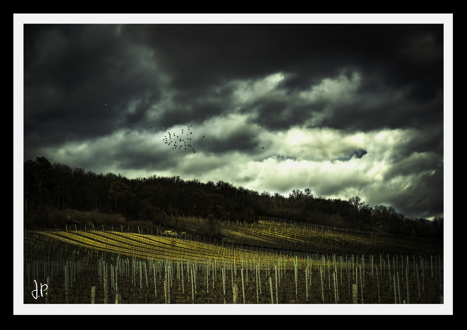 Auf den Schwingen des Winds