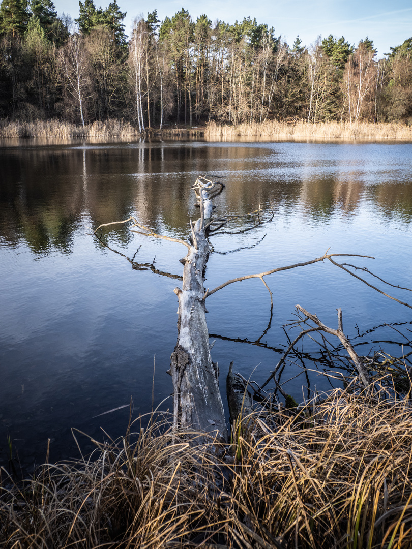 Auf den See hinaus