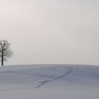 Auf den Spuren der Spuren