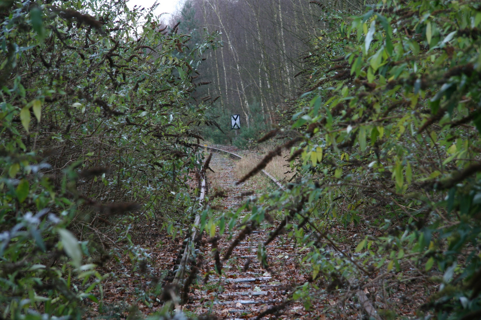 Auf den Spuren des Eisernen Rheins III