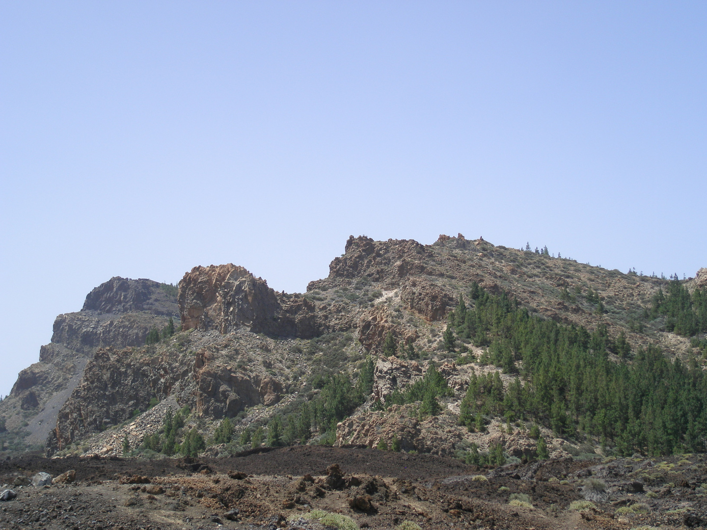 Auf den Spuren des Vulkans (Teide)