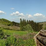 Auf den Spuren von Kyrill - Unterwegs bei Hellefeld im Sauerland