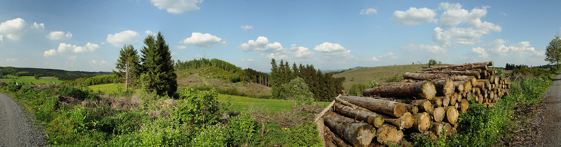 Auf den Spuren von Kyrill - Unterwegs bei Hellefeld im Sauerland