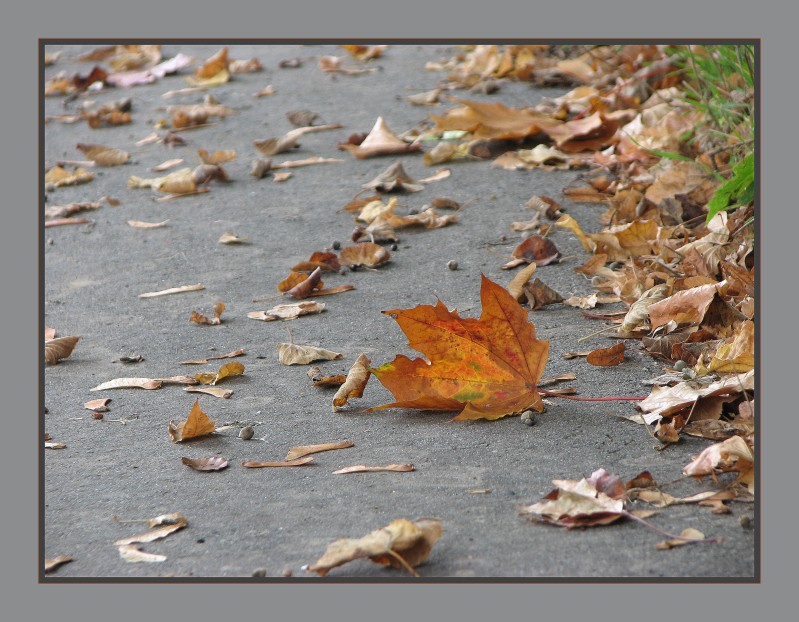 Auf den Sraßen im Herbst