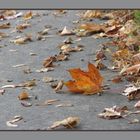 Auf den Sraßen im Herbst