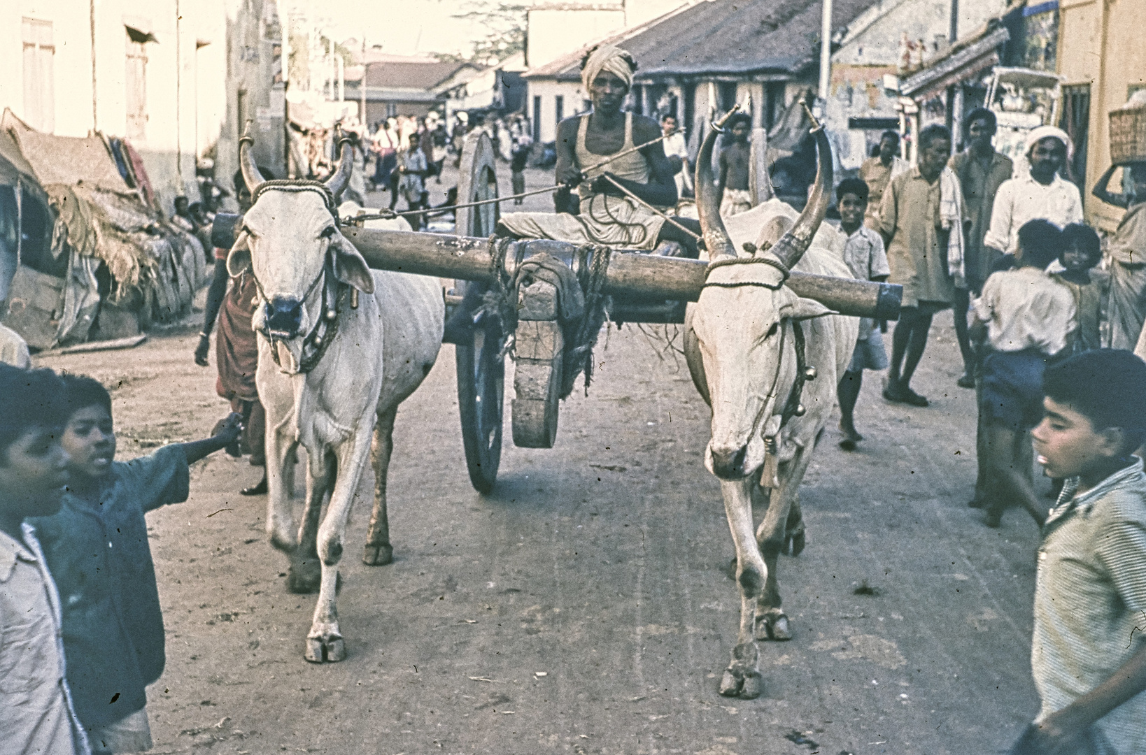 ...auf den Strassen von Madras