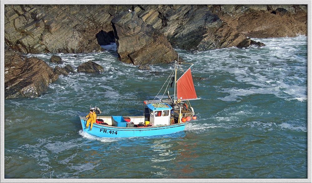 auf den Tisch den cornish fish