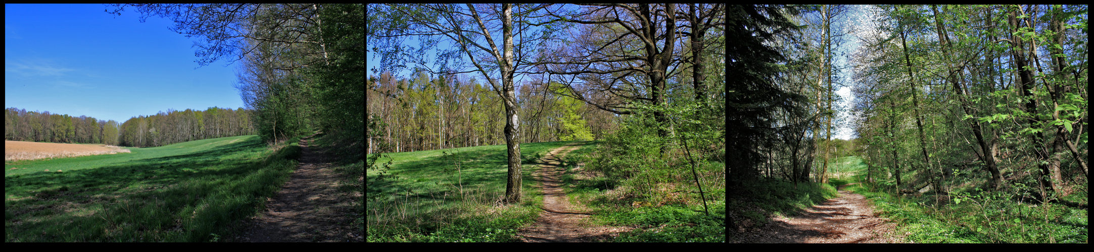 auf den weg