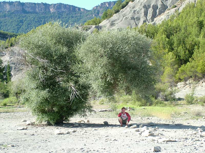 Auf den Weg durch Spanien