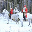 auf den Weg gemacht.........um rechtzeitig bei Euch zu sein!!