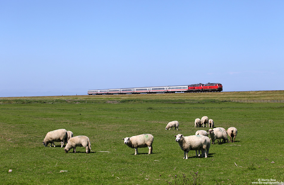 Auf den Weg gen Süden ...