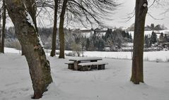 Auf den Weg in den Schwarzwald