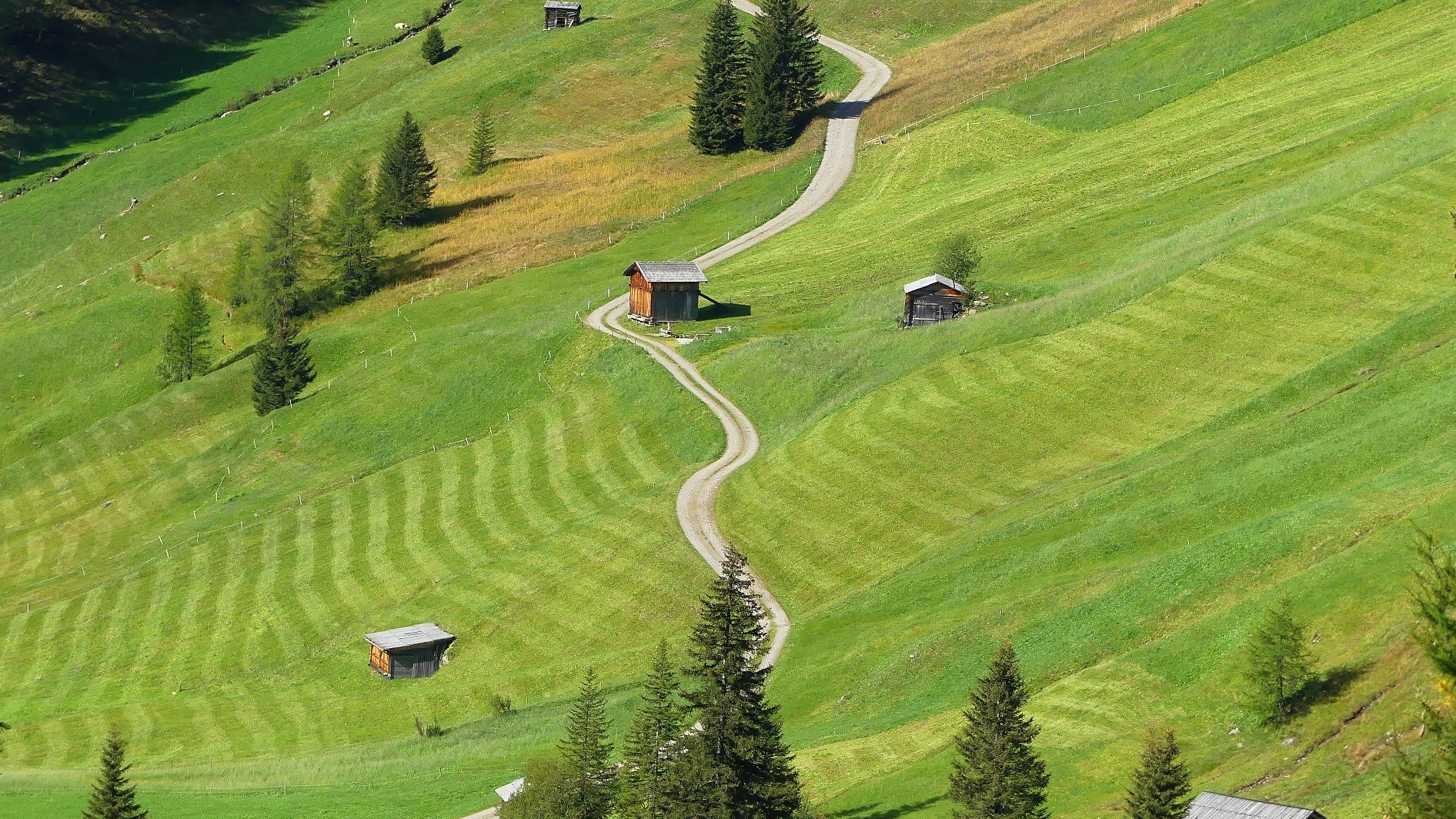 Auf den Weg machen Foto & Bild landschaft, Äcker, felder & wiesen, wald Bilder auf
