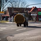 Auf den Weg nach Haus