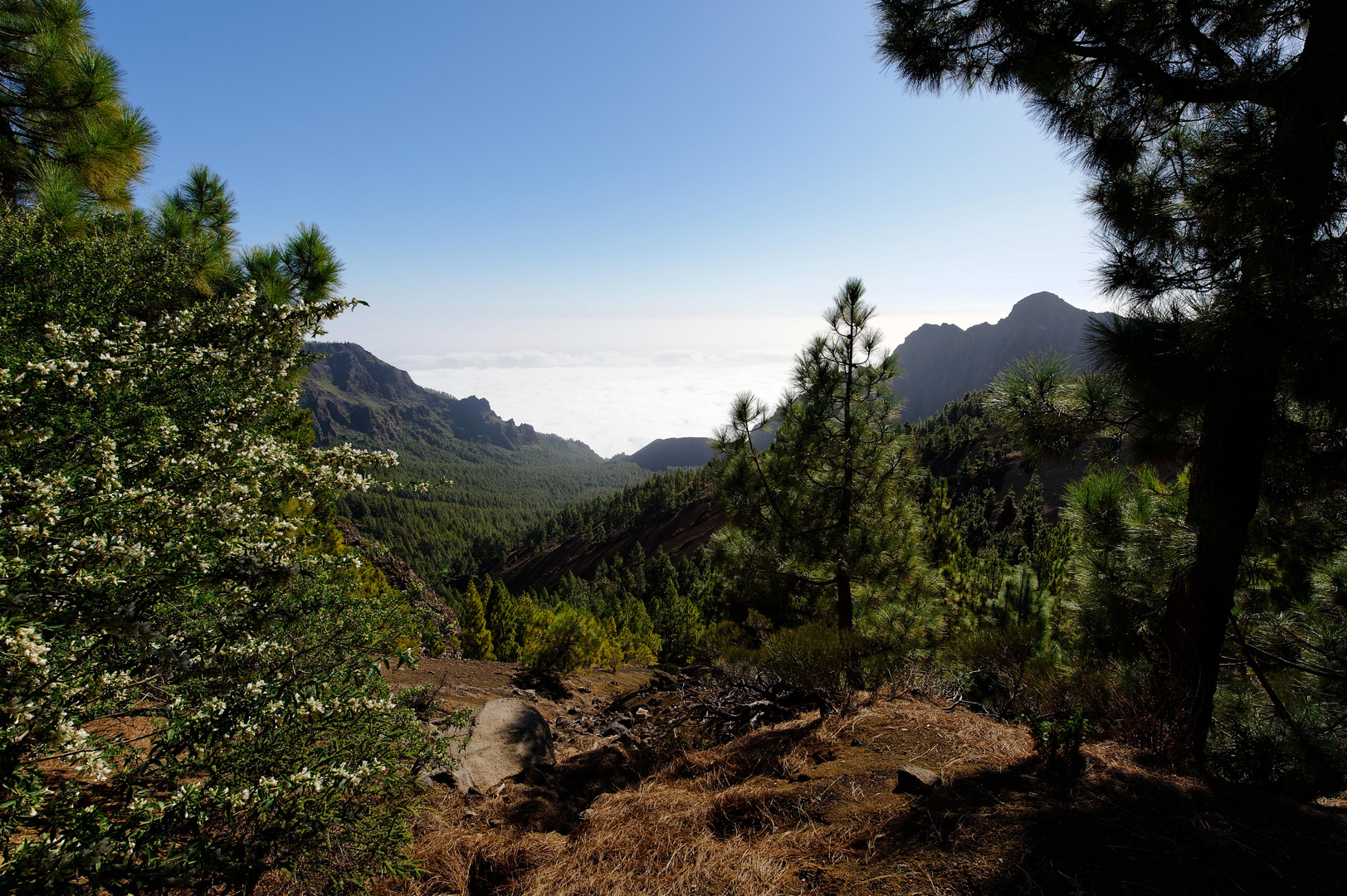 Auf den weg zum Teide