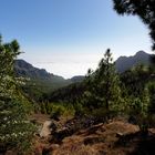 Auf den weg zum Teide