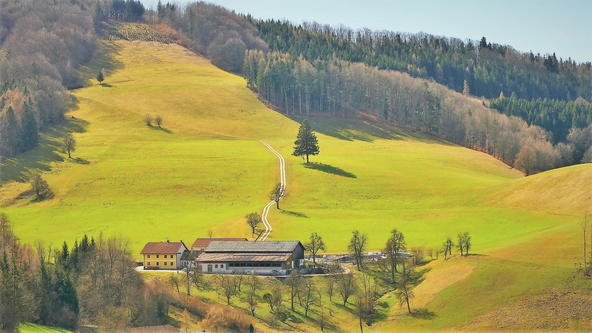 Auf den Wiesen wird's schön langsam grün